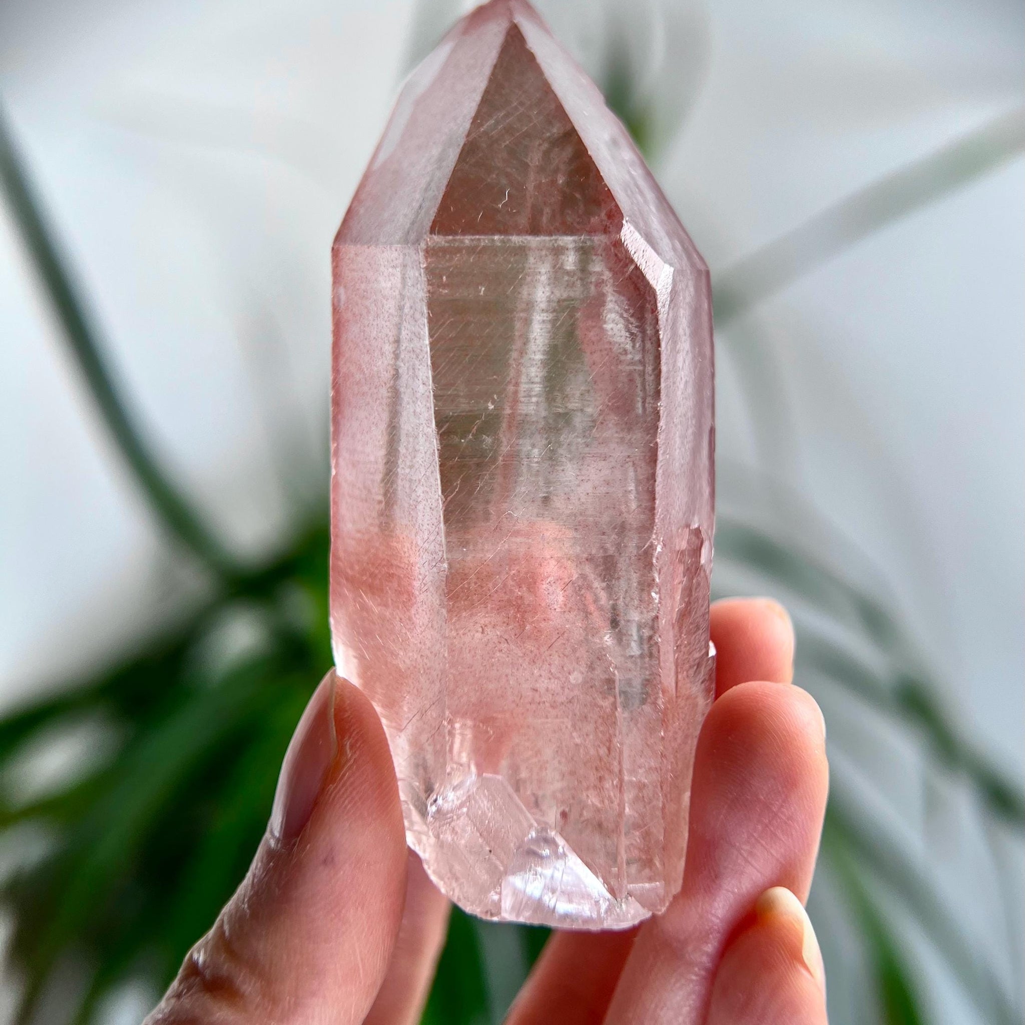Grade AAA 100% Natural Pink Lemurian Quartz Point–Heart-Activating Love, Wisdom & Divine Connection,from Diamantina - PL12,114g