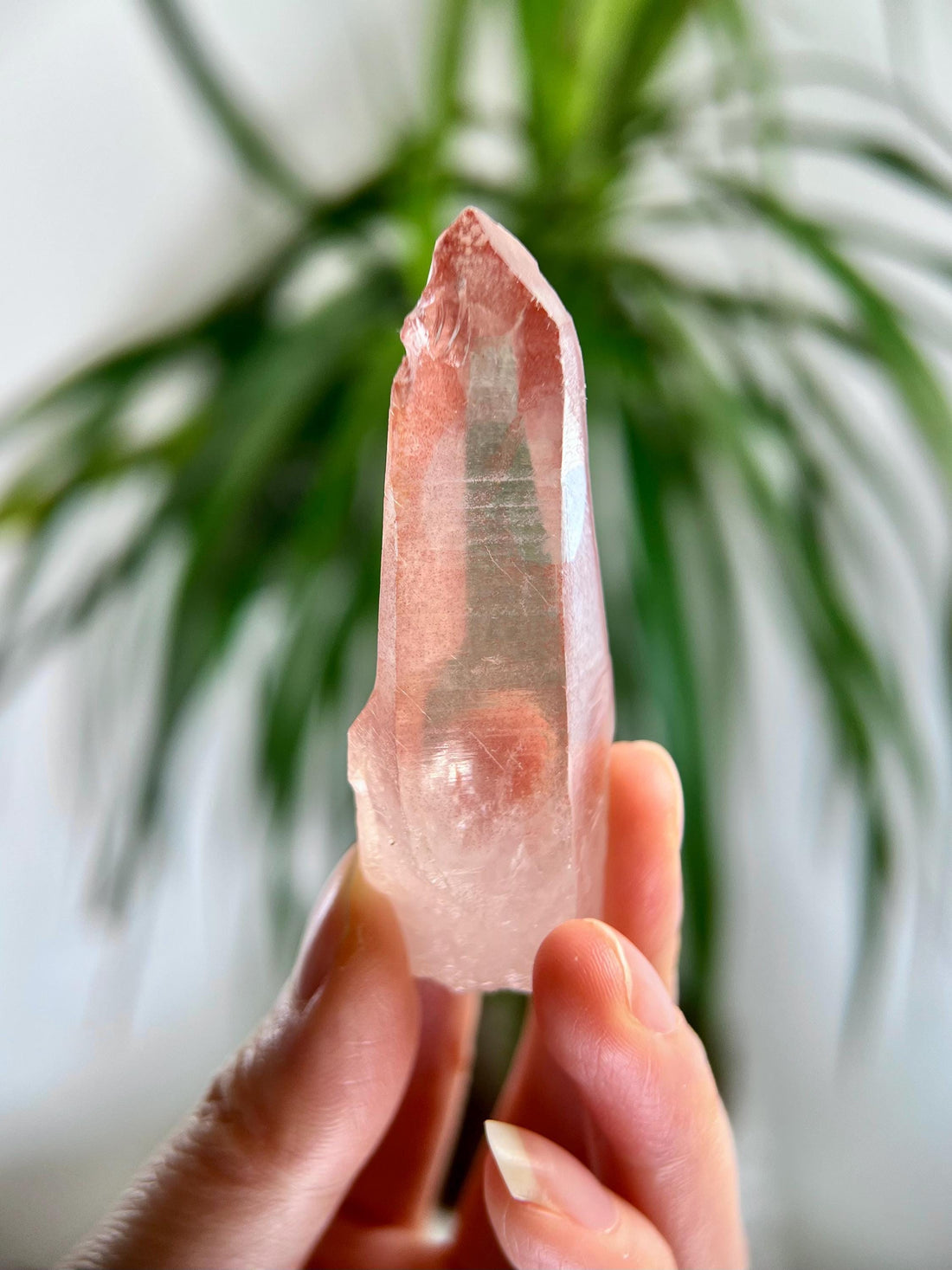 Grade AAA 100% Natural Pink Lemurian Quartz Point–Heart-Activating Love,Wisdom & Divine Connection,from Diamantina - PL15, 41g