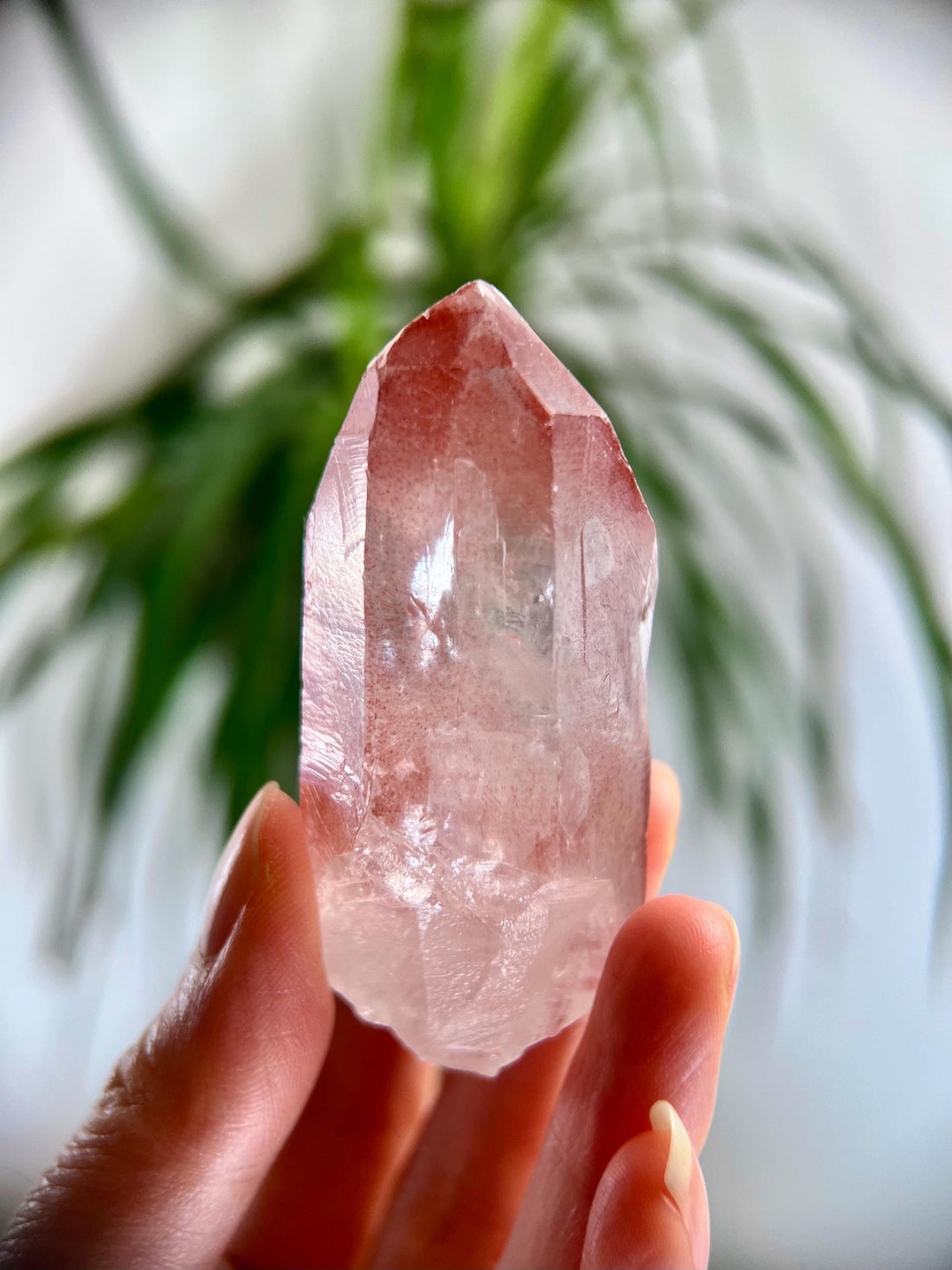 Grade AAA 100% Natural Pink Lemurian Quartz Point with Rainbow–Heart-Activating Love, Wisdom & Divine Connection,from Diamantina - PL24, 70g