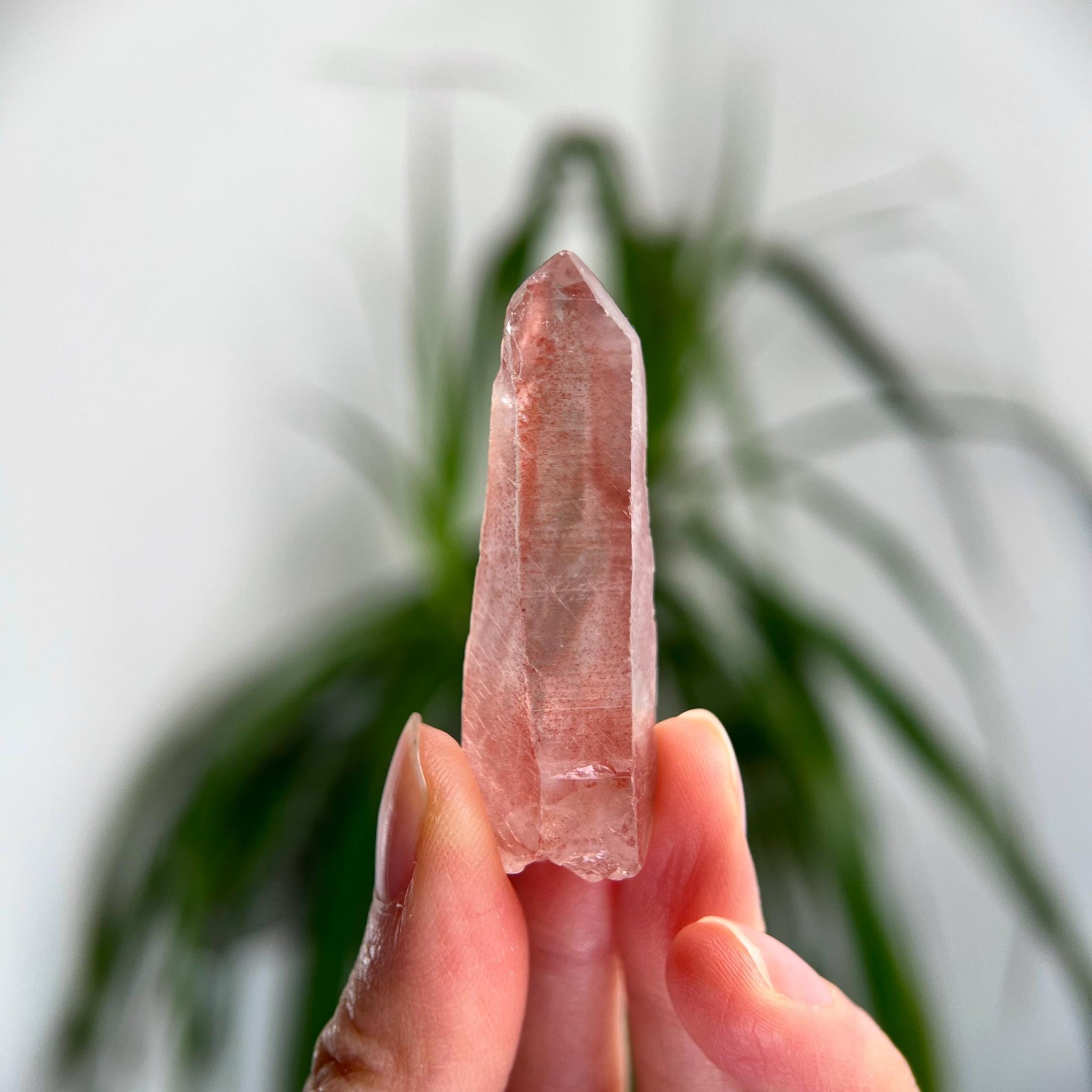 Grade AAA 100% Natural Pink Lemurian Quartz Point–Heart-Activating Love, Wisdom & Divine Connection,from Diamantina - PL25, 18g