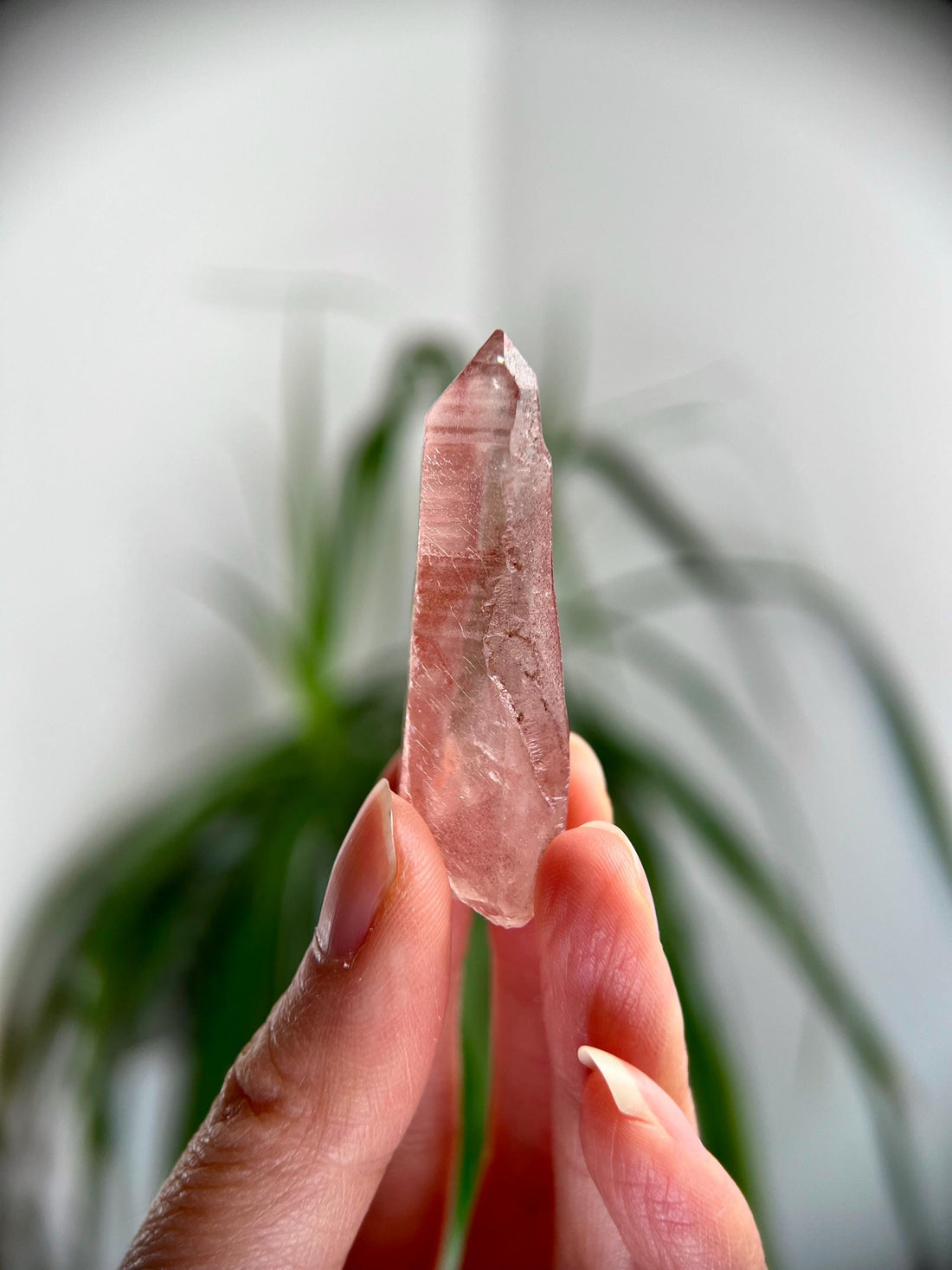 Grade AAA 100% Natural Pink Lemurian Quartz Point–Heart-Activating Love, Wisdom & Divine Connection,from Diamantina - PL25, 18g
