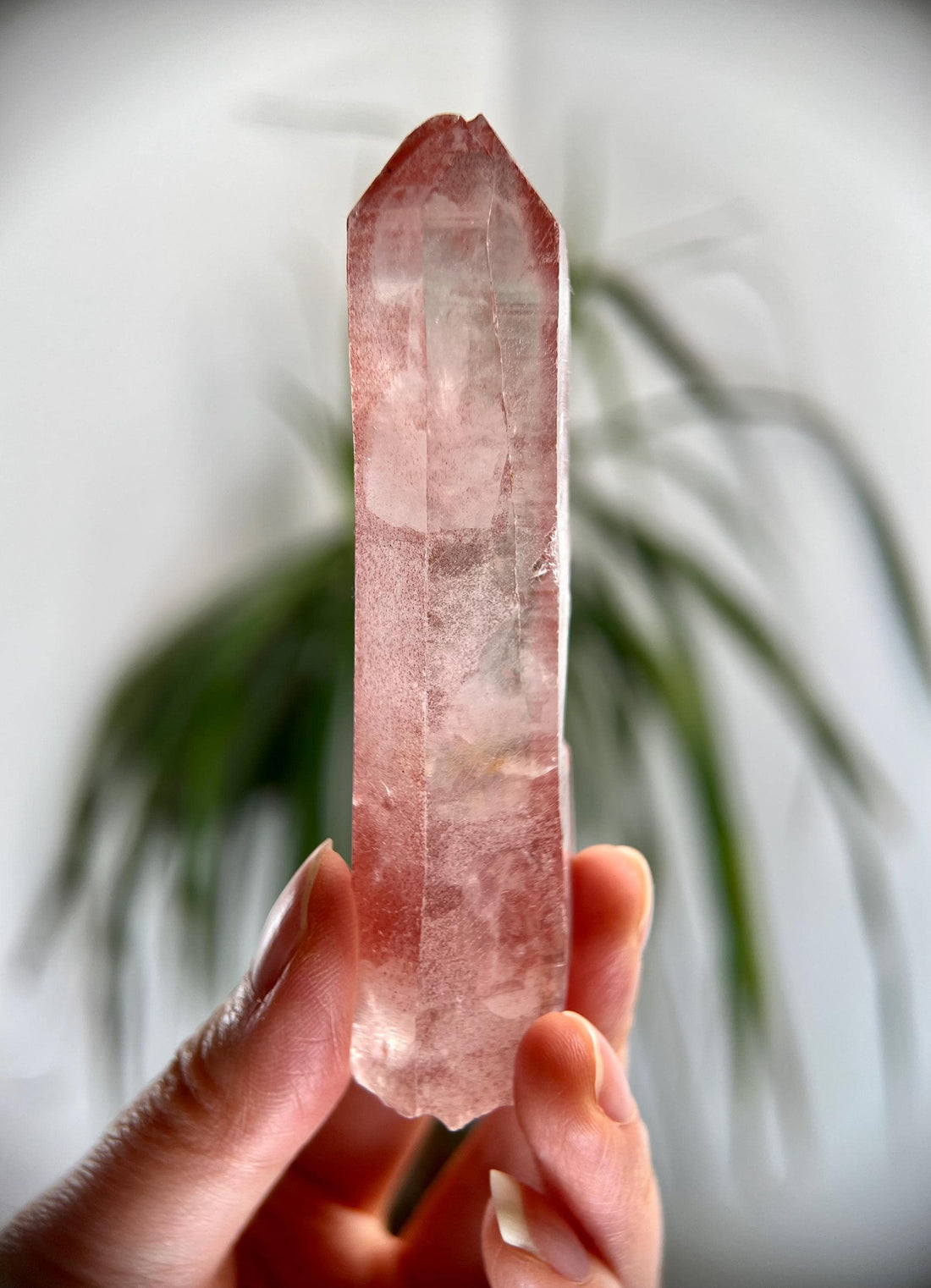 Grade AAA 100% Soulmate Natural Pink Lemurian Quartz Point–Heart-Activating Love, Wisdom & Divine Connection,from Diamantina - PL27, 84g