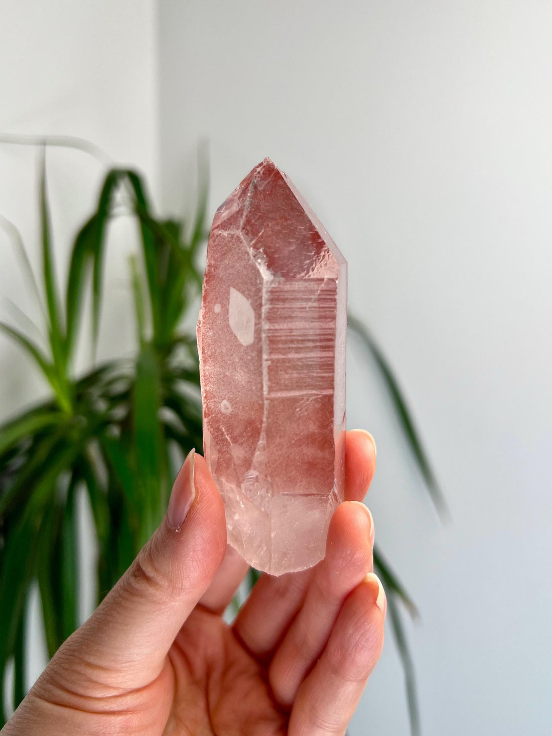 Grade AAA 100% Natural Pink Lemurian Quartz Point–Heart-Activating Love, Wisdom & Divine Connection,from Diamantina - PL28, 129g