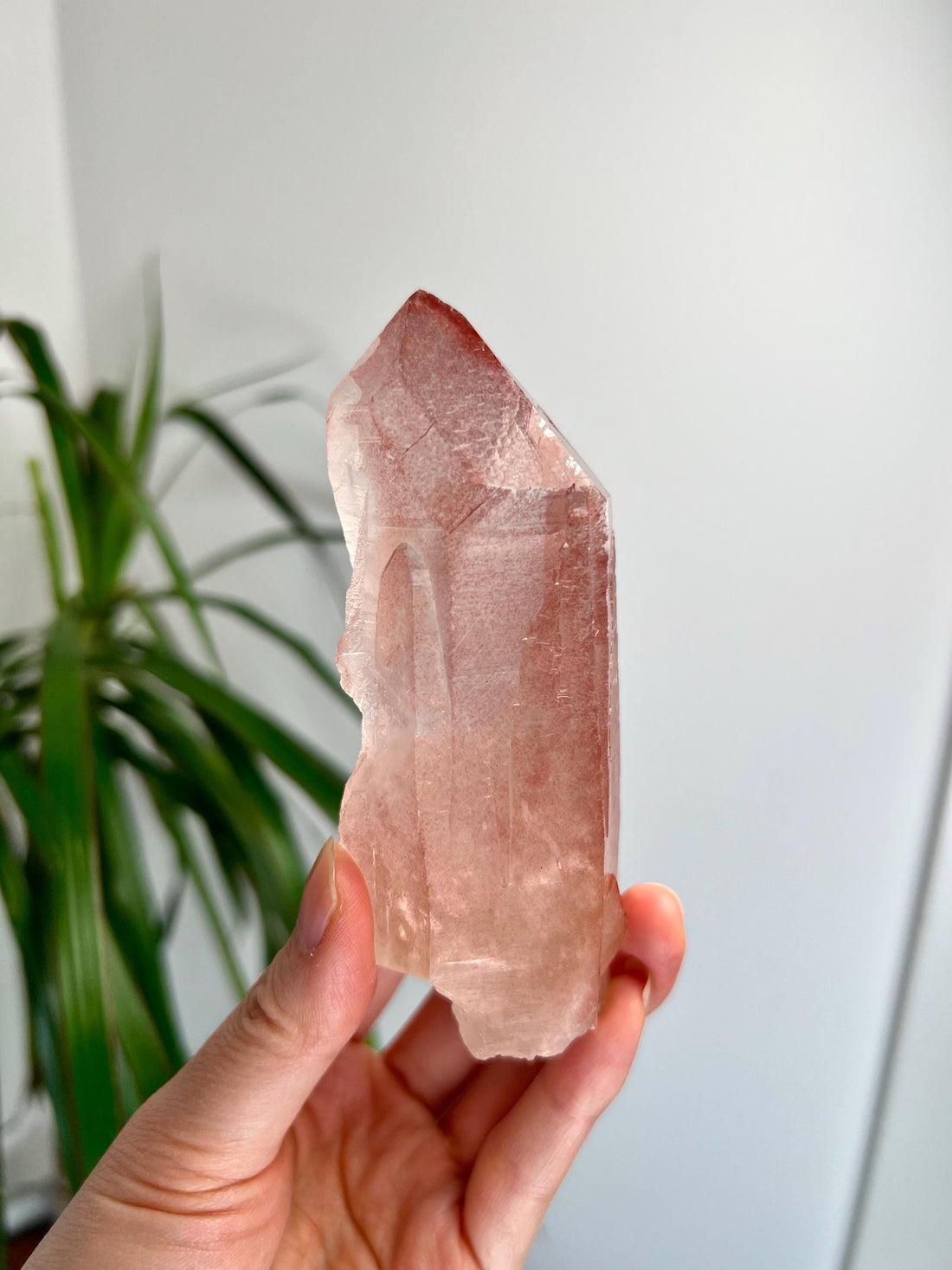 Grade AAA 100% Natural Pink Lemurian Quartz Point–Heart-Activating Love, Wisdom & Divine Connection,from Diamantina - PL30, 249g