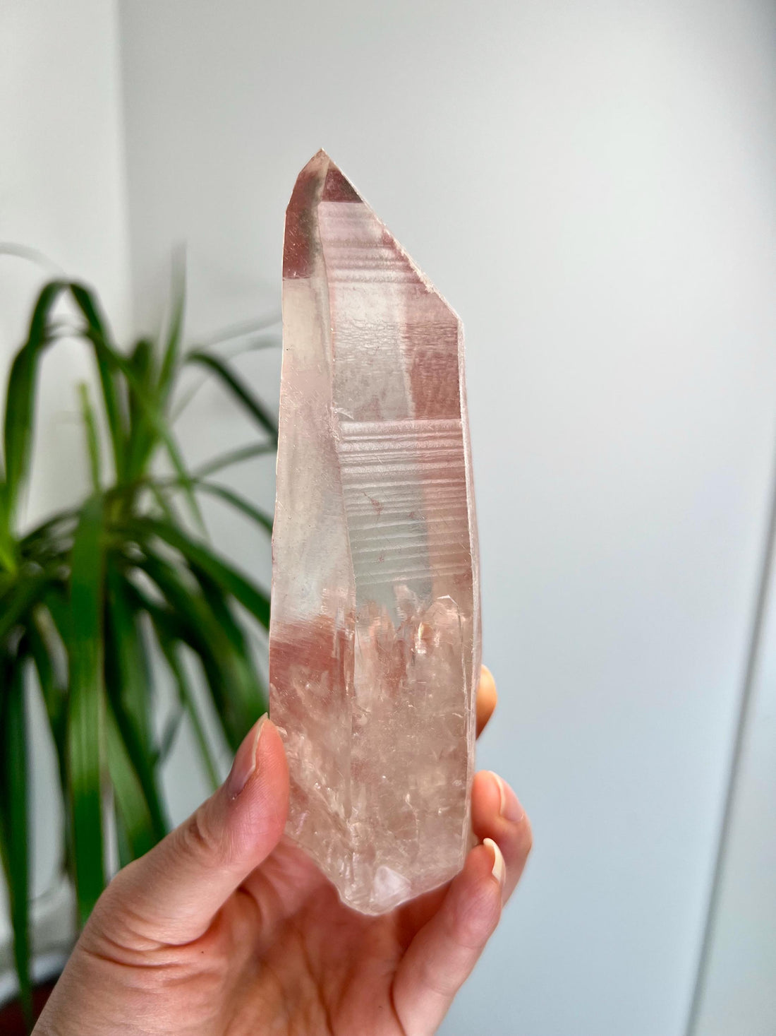 Grade AAA+ 100% Natural Pink Lemurian Quartz Point–Heart-Activating Love, Wisdom & Divine Connection,from Diamantina - PL32, 360g