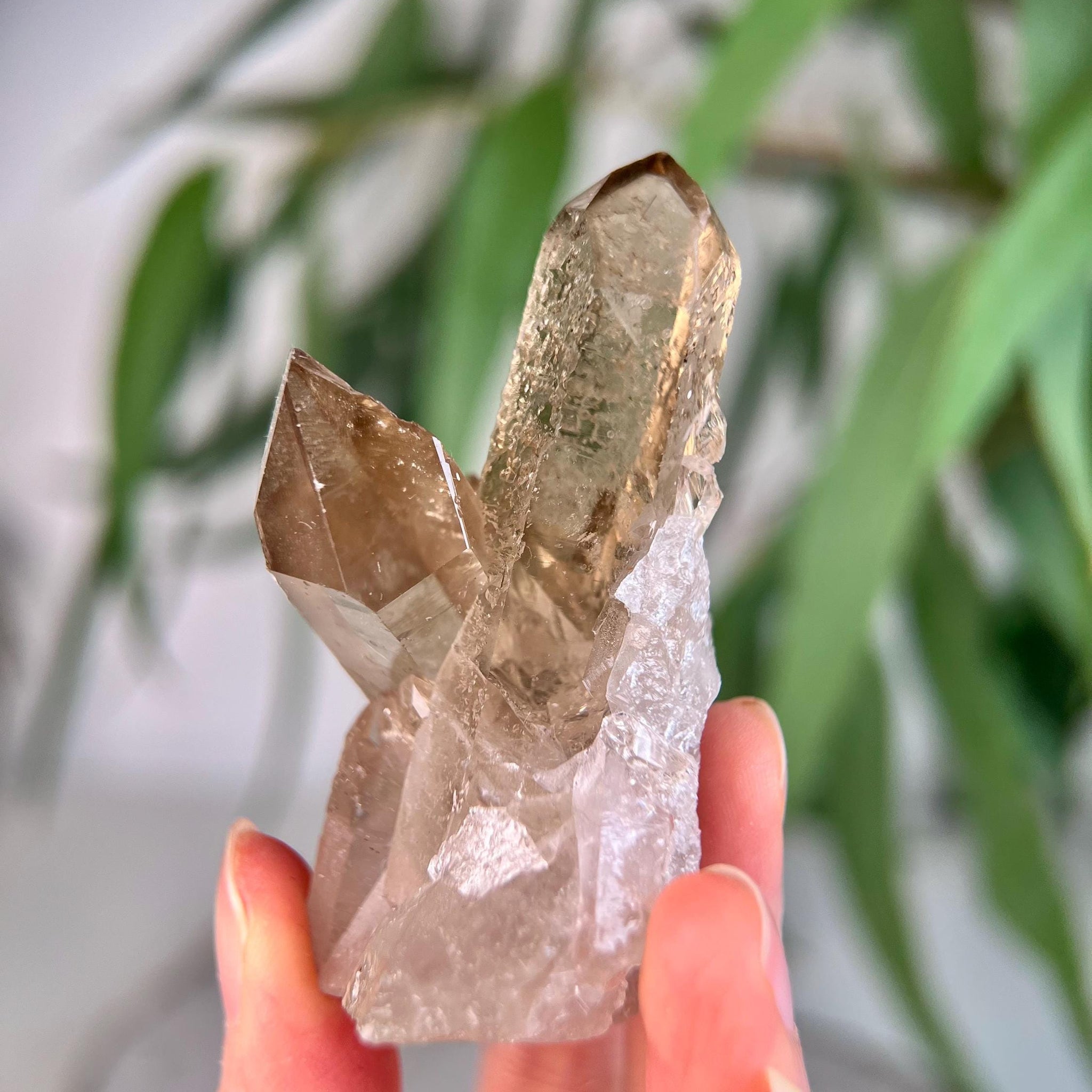 Grade AA+ Natural Etched Smoky Quartz Cluster from Bahia, Brazil SCC18,77g