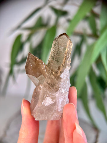 Grade AA+ Natural Etched Smoky Quartz Cluster from Bahia, Brazil SCC18,77g
