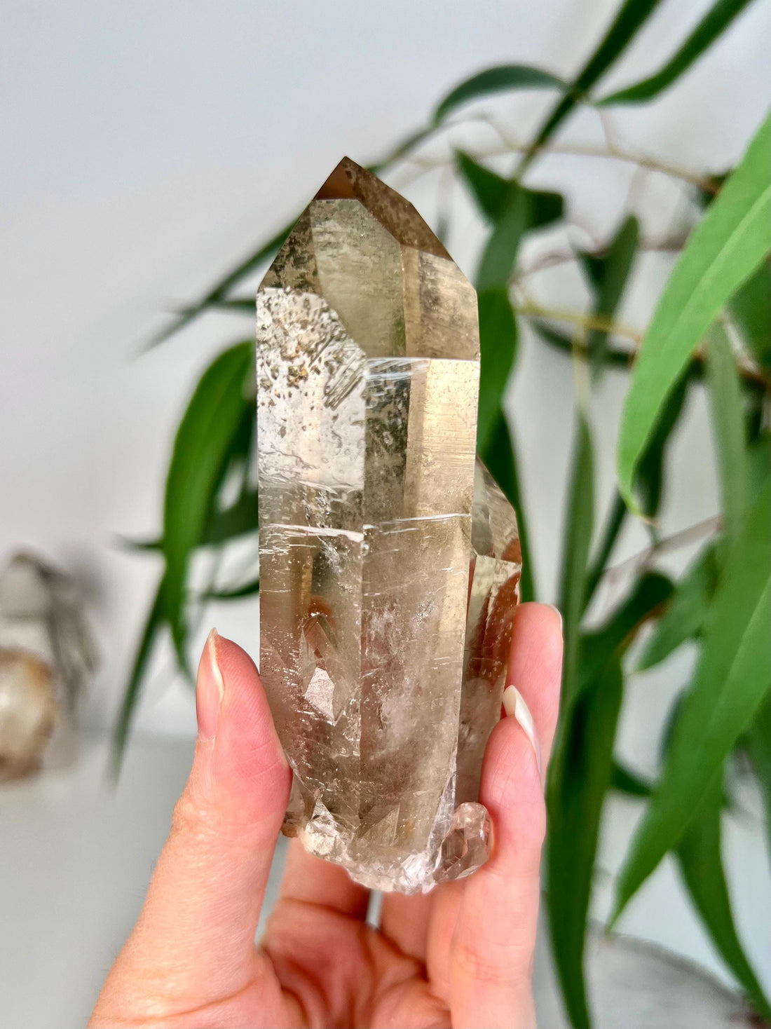 Grade AA+ Natural Etched Smoky Quartz Cluster from Bahia, Brazil SCC21, 211g