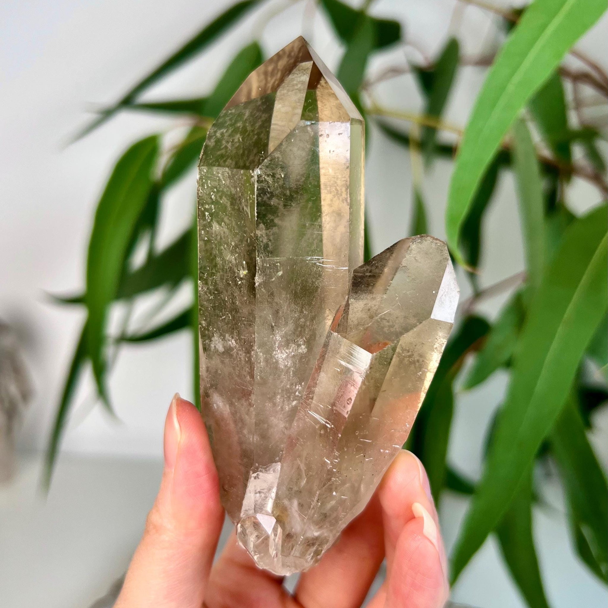 Grade AA+ Natural Etched Smoky Quartz Cluster from Bahia, Brazil SCC21, 211g
