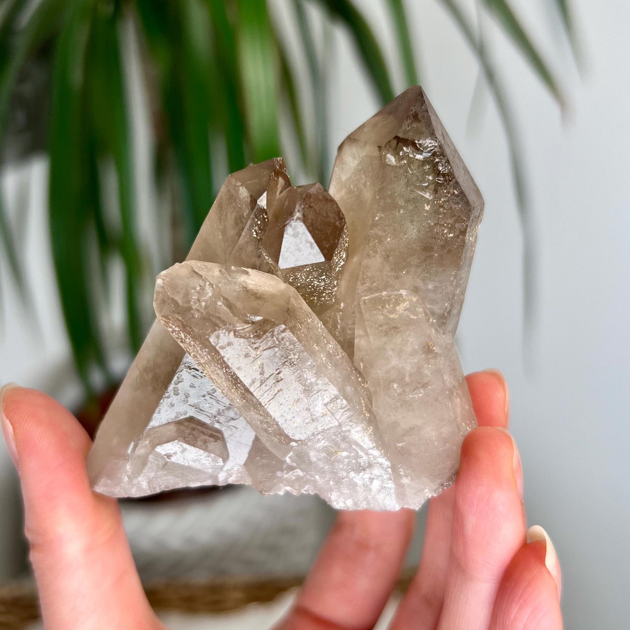 Grade AA+ Natural Etched Smoky Quartz Cluster from Bahia, Brazil SCC01, 158g