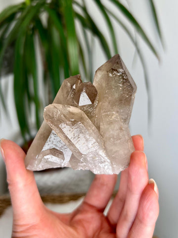 Grade AA+ Natural Etched Smoky Quartz Cluster from Bahia, Brazil SCC01, 158g