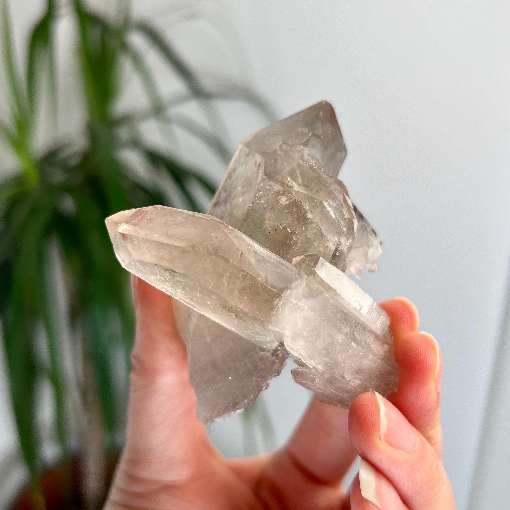 Grade AA+ Natural Etched Smoky Quartz Cluster, Self-Healed with Penetration from Bahia, Brazil SCC02, 98g