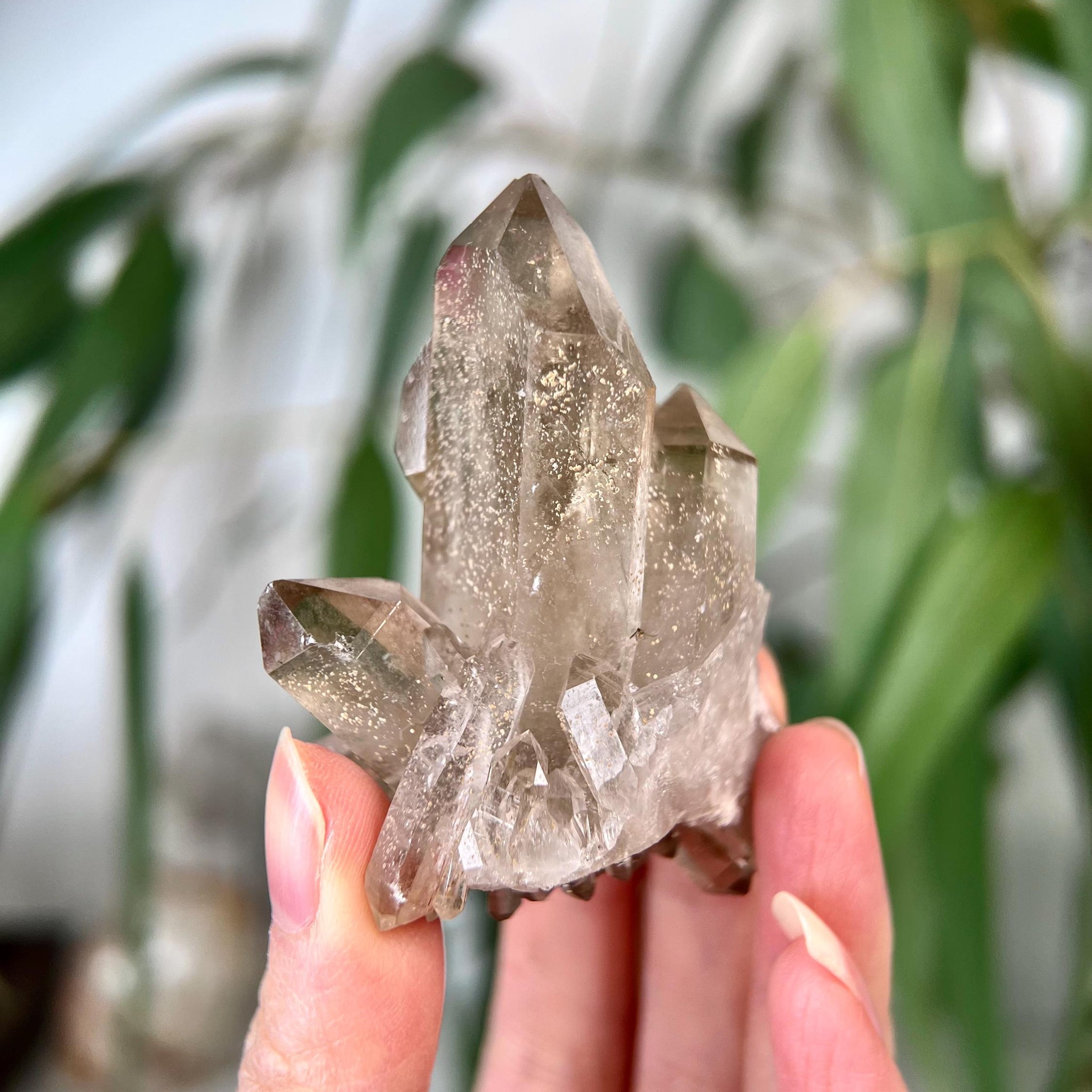 Grade AA+ Natural Etched Smoky Quartz Cluster, Multi-Terminated from Bahia, Brazil SCC22, 75g