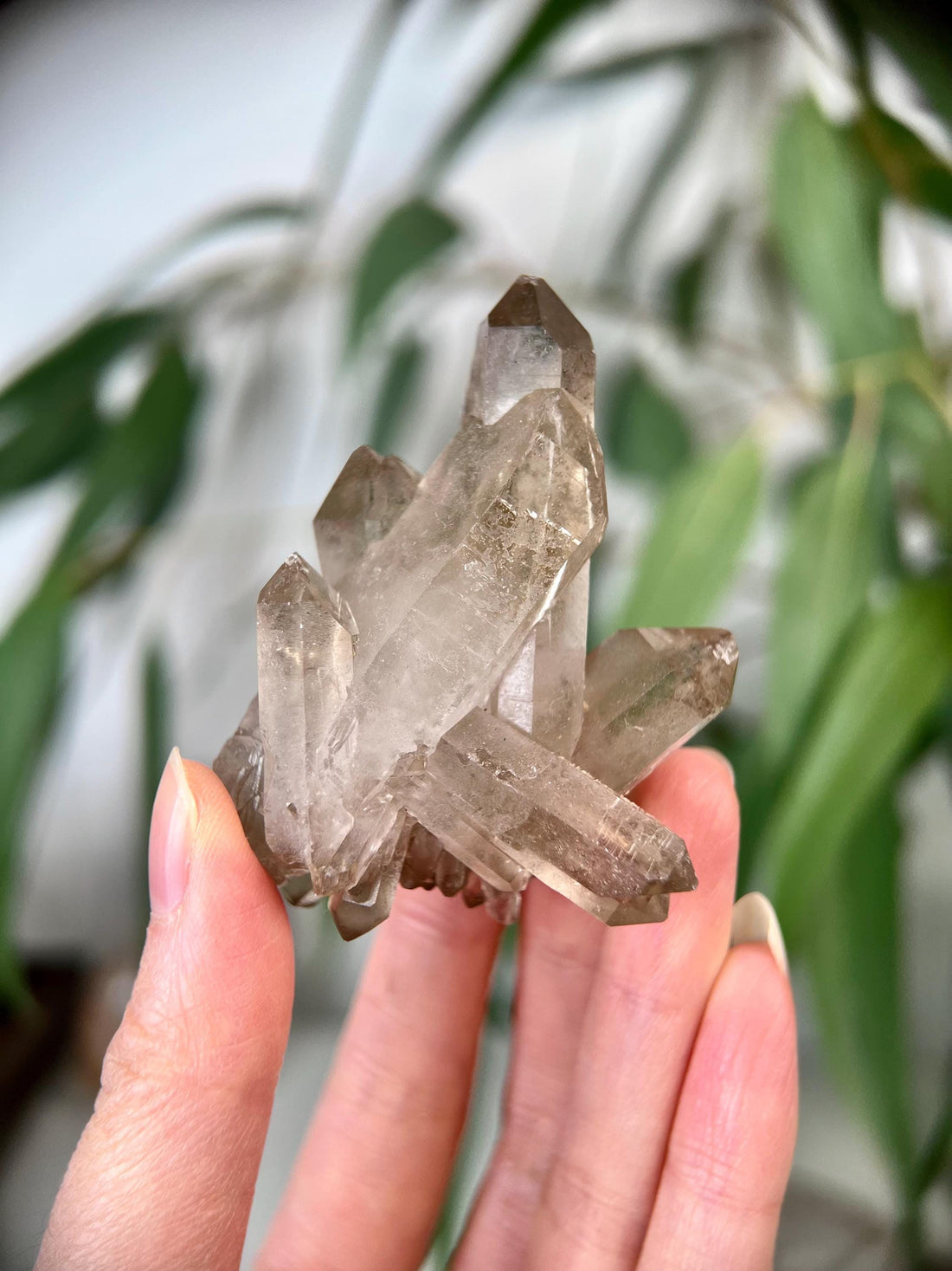Grade AA+ Natural Etched Smoky Quartz Cluster, Multi-Terminated from Bahia, Brazil SCC22, 75g