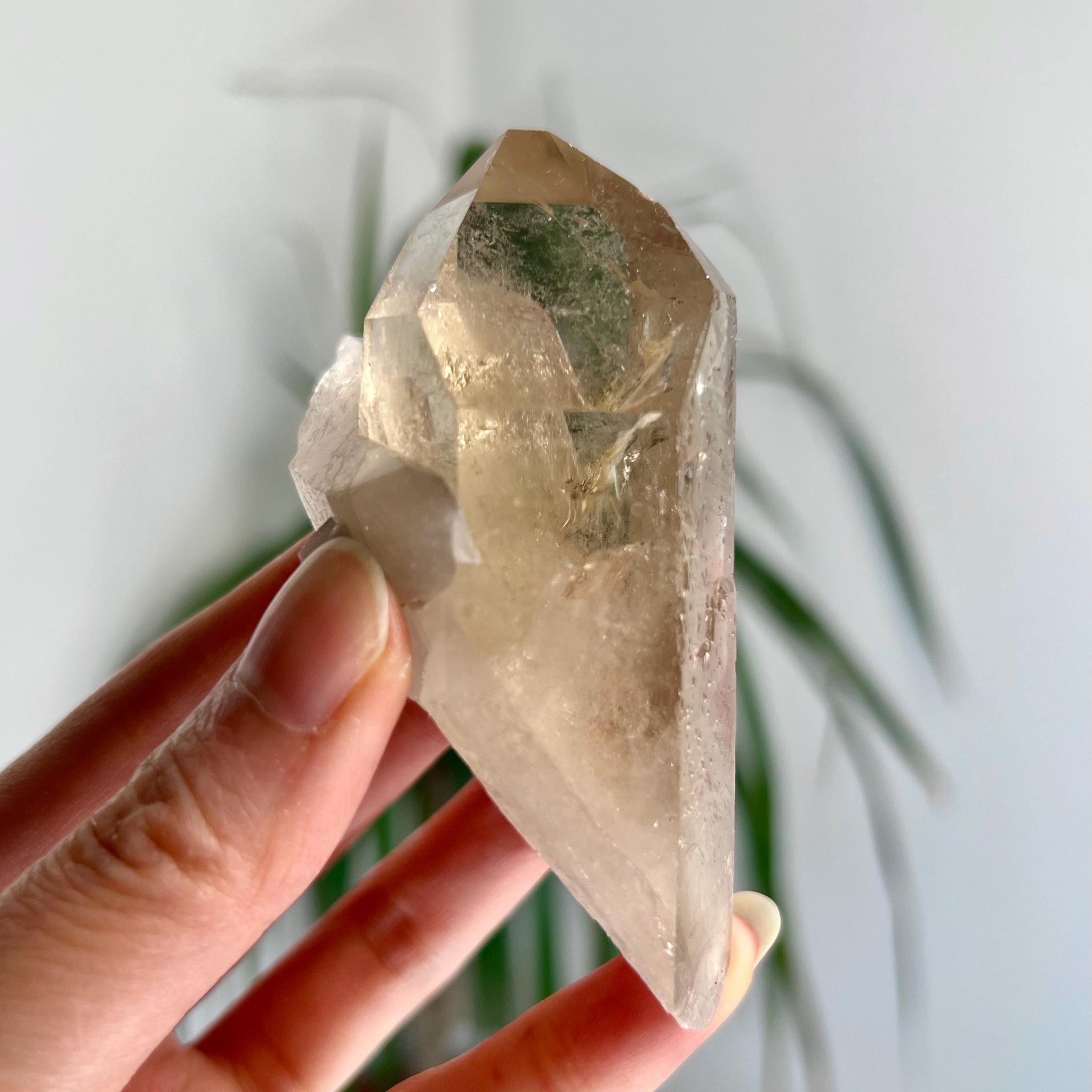 Grade AA+ Natural Etched Smoky Quartz Cluster from Bahia, Brazil SCC08, 111g