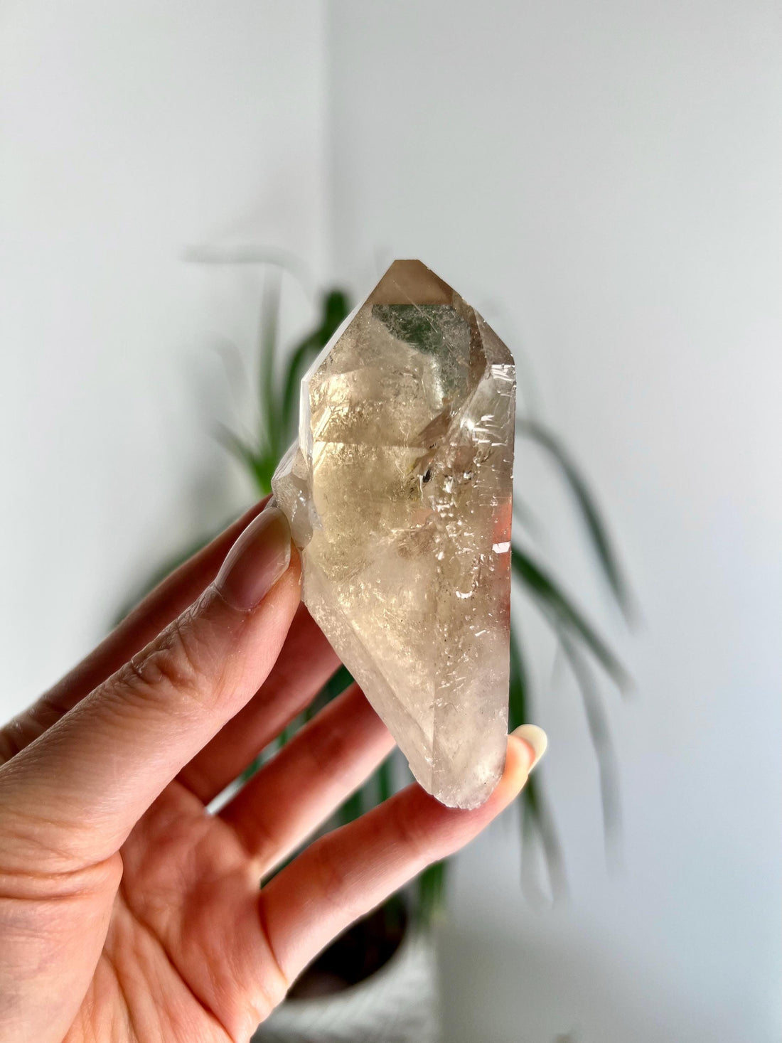 Grade AA+ Natural Etched Smoky Quartz Cluster from Bahia, Brazil SCC08, 111g