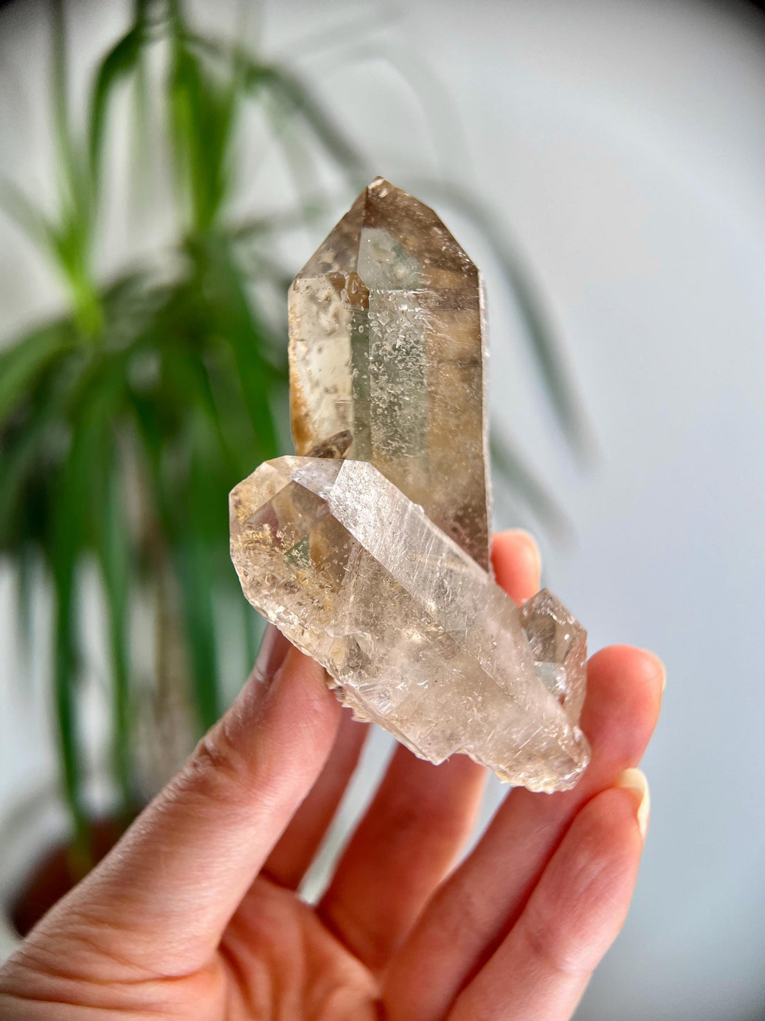 Grade AA+ Natural Etched Smoky Quartz Cluster from Bahia, Brazil SCC11, 102g