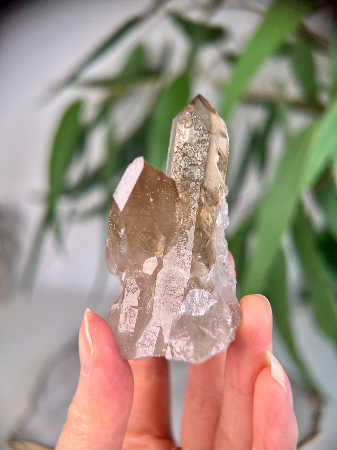 Grade AA+ Natural Etched Smoky Quartz Cluster from Bahia, Brazil SCC18,77g