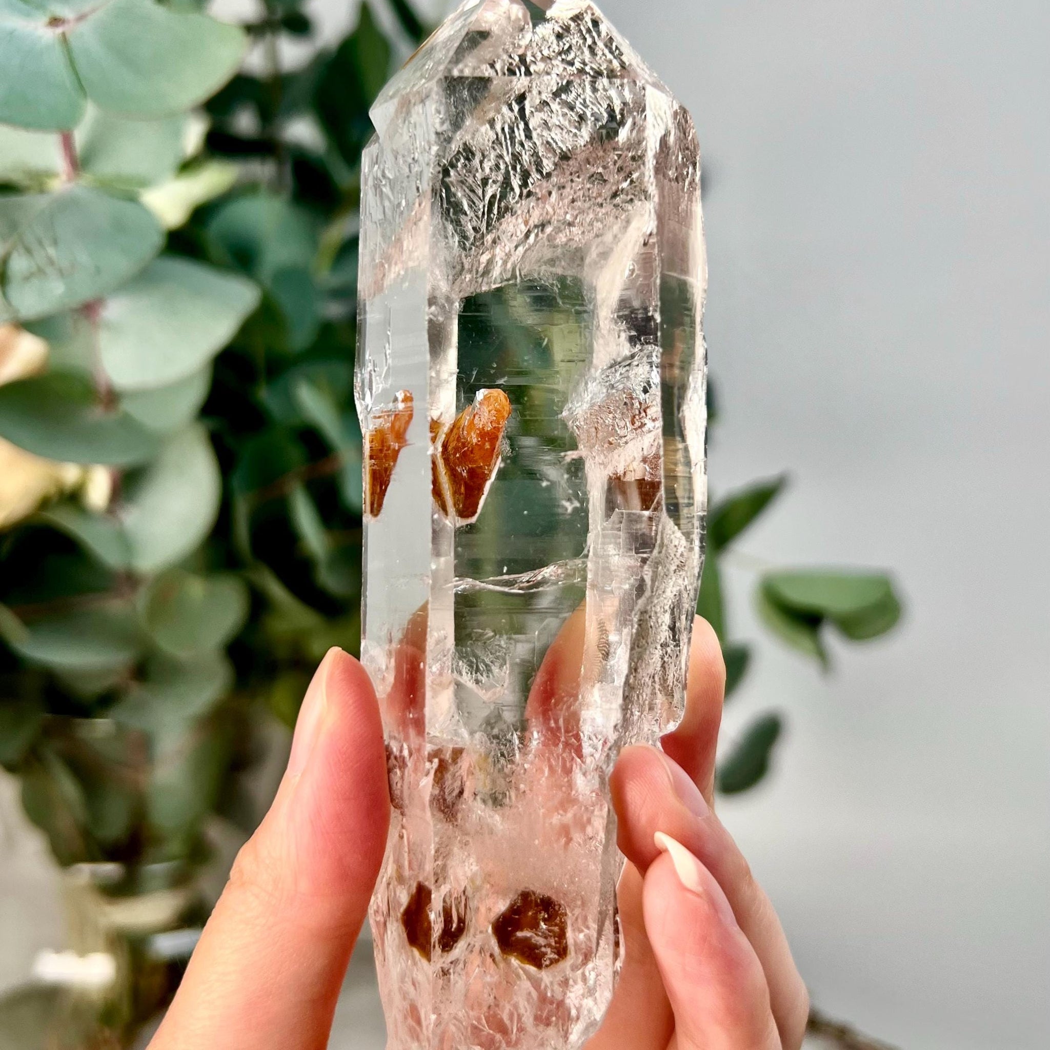 Grade AAA+ Cathedral Lemurian Quartz Point | Self-Healed with Iron Penetration | Akashic Record Access | Diamantina, Brazil- LCC39, 273g