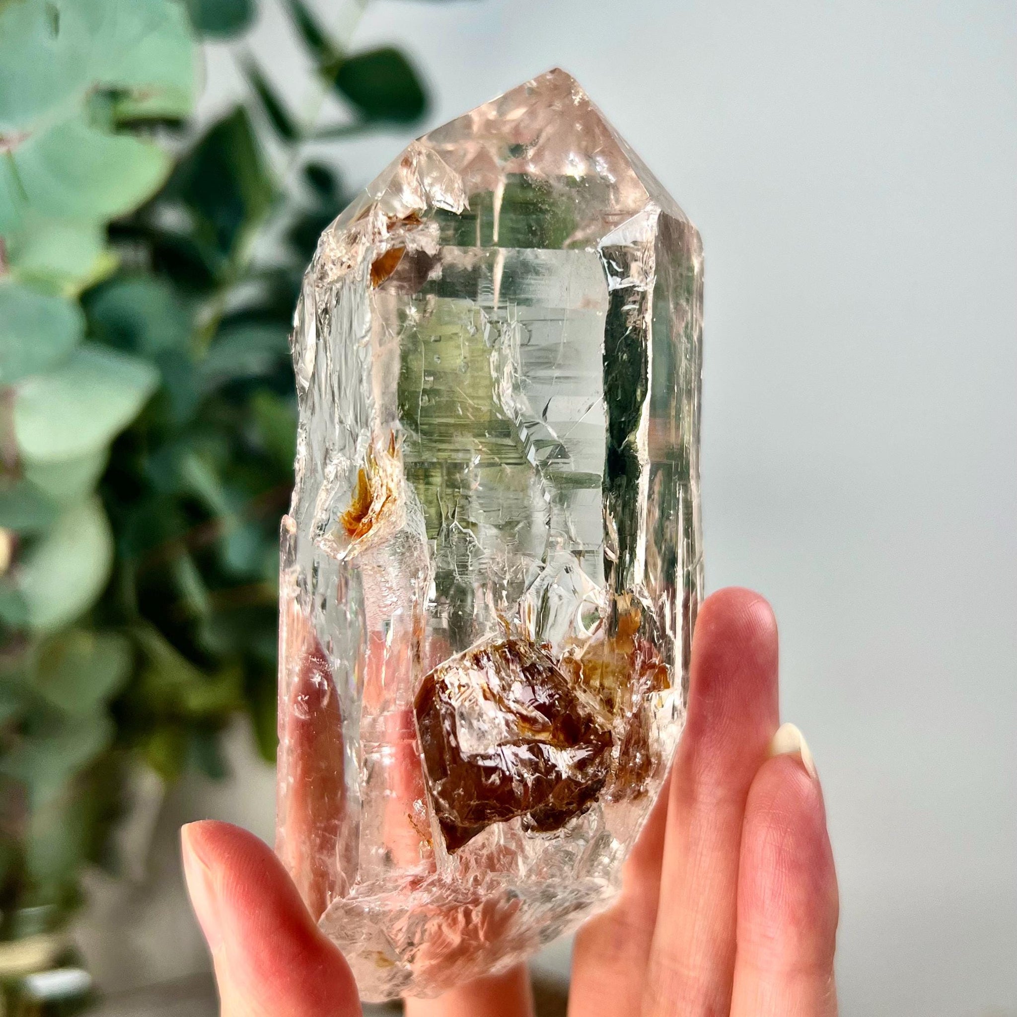 Grade AAA Cathedral Lemurian Quartz Point | Self-Healed with Iron Penetration | Akashic Record Access | Diamantina, Brazil- LCC40, 340g