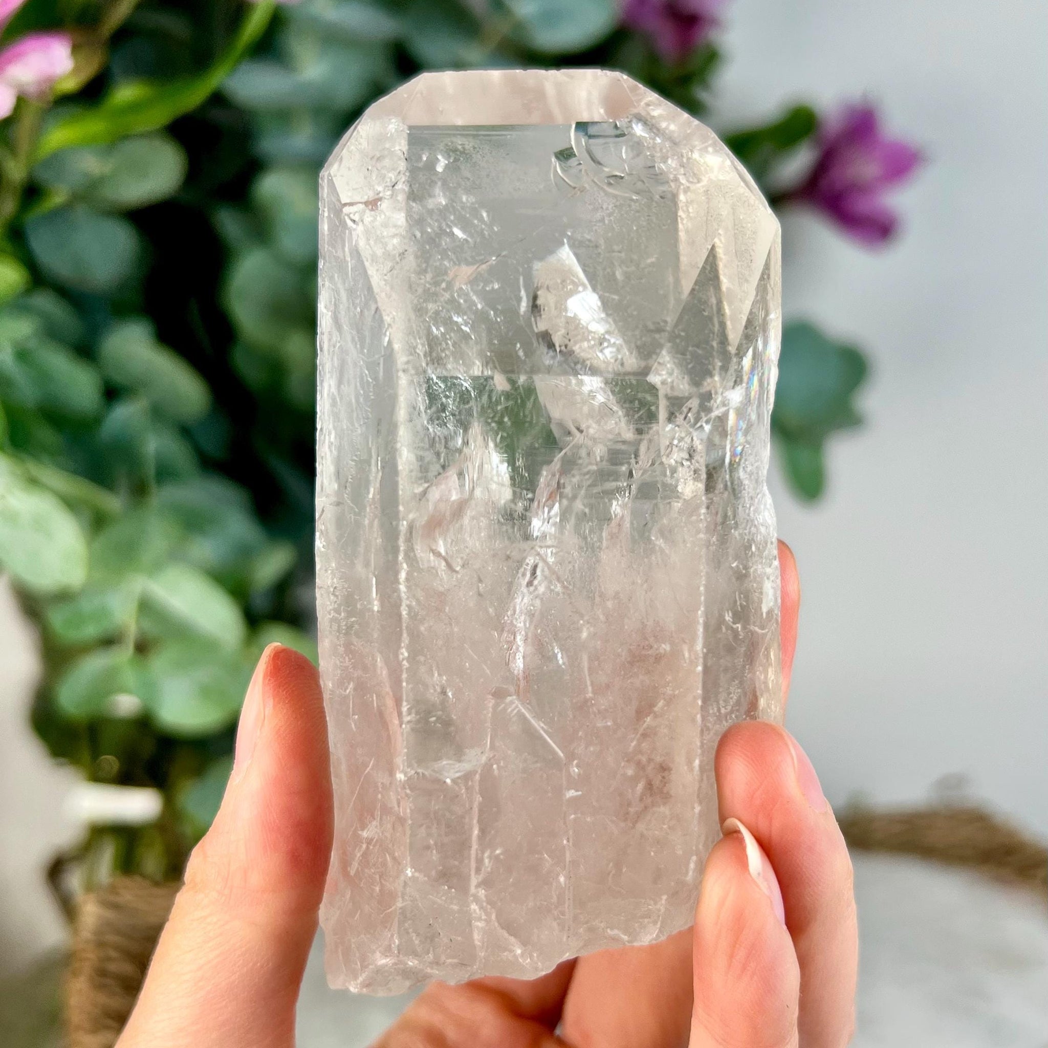 Grade AA Natural Etched Clear Quartz Point with Rainbows and Chlorite -  QPC16, 320g