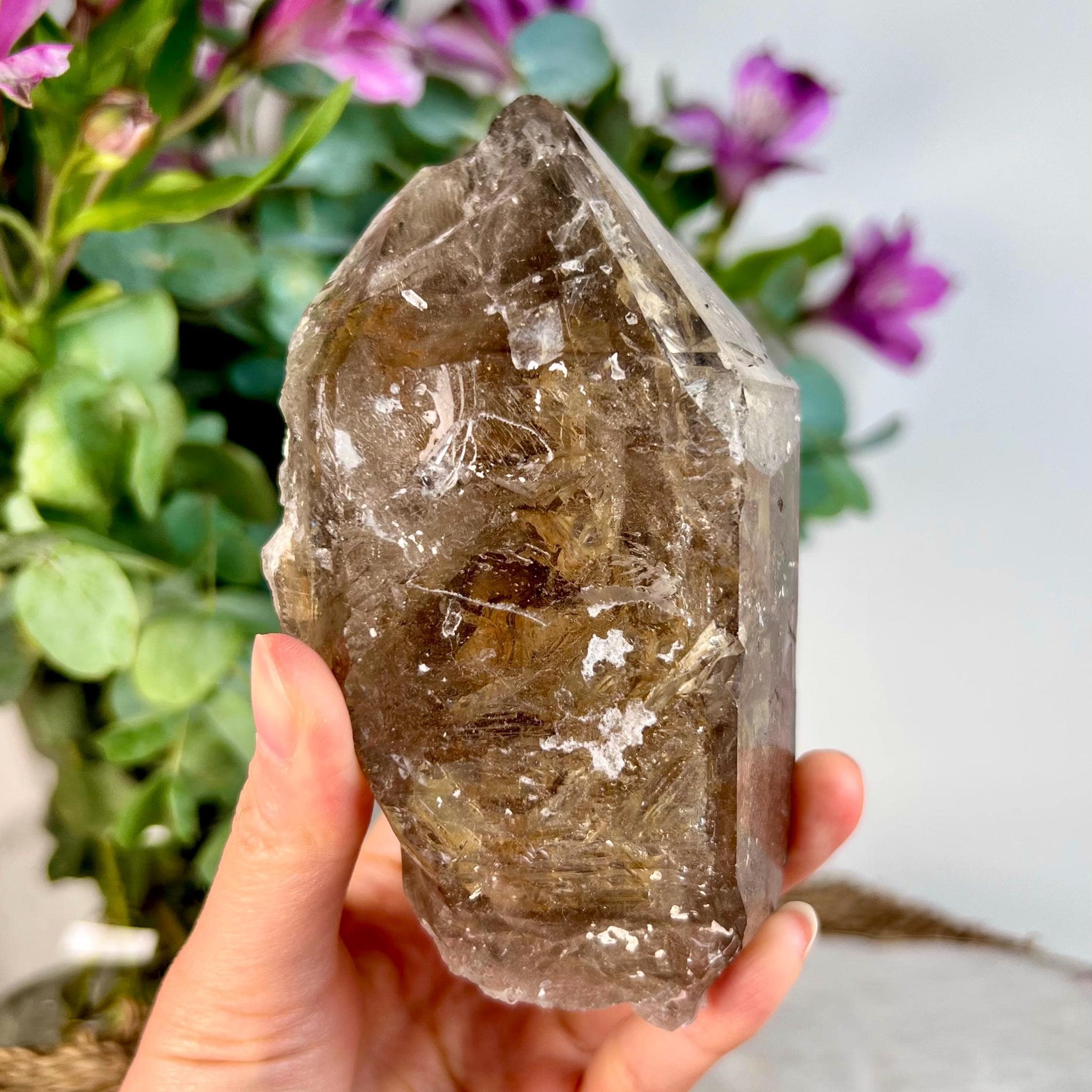 Grade AAA Elestial Smoky Quartz | Natural High-Vibe Formation from Araçuai, Brazil | Unique & Powerful 465g, SEH07