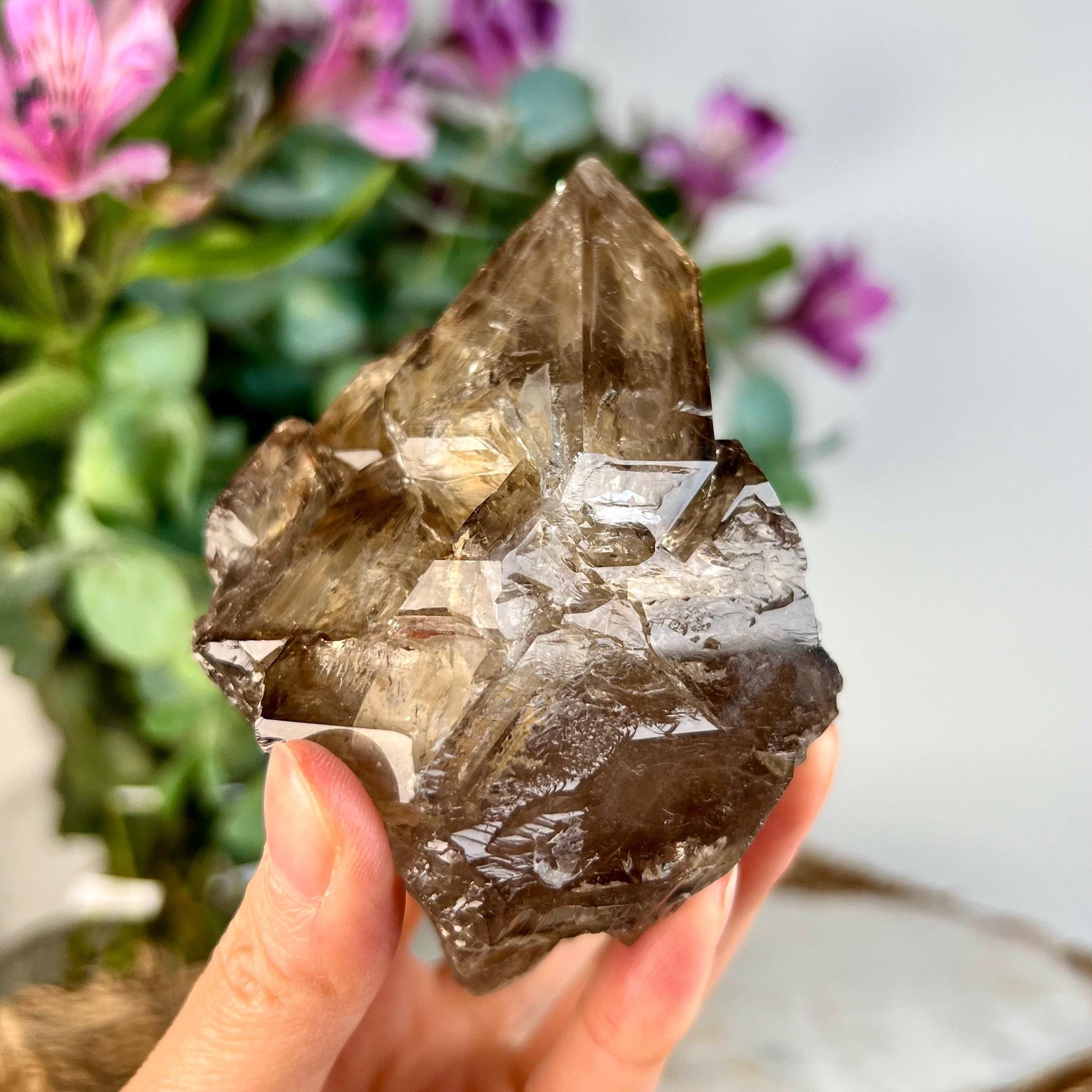 Grade AAA Elestial Smoky Quartz | Natural High-Vibe Formation from Araçuai, Brazil | Unique & Powerful 504g, SEH09