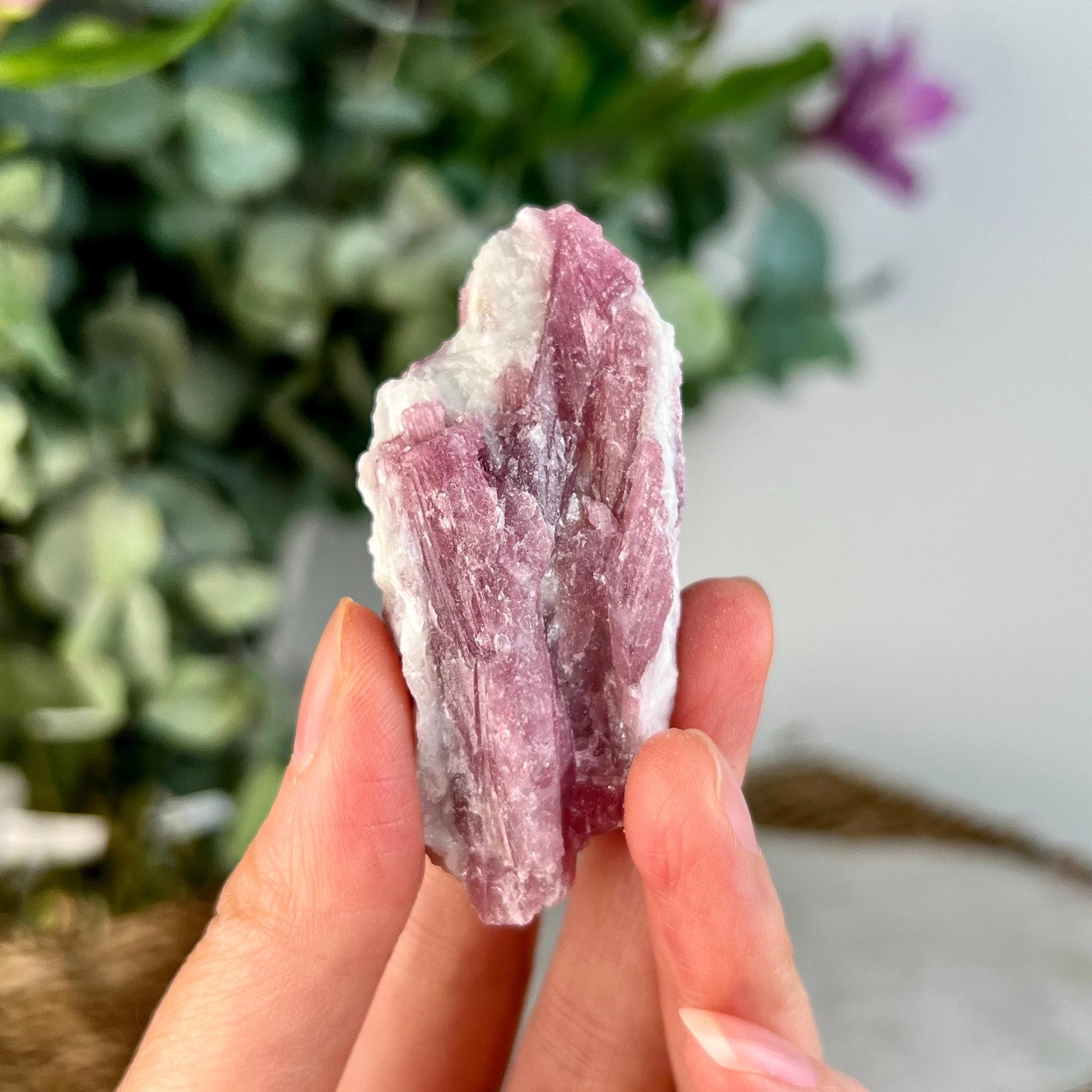 Grade AA Natural Pink Tourmaline on Aquamarine, A Harmonious Blend of Love and Serenity PTC54, 42g