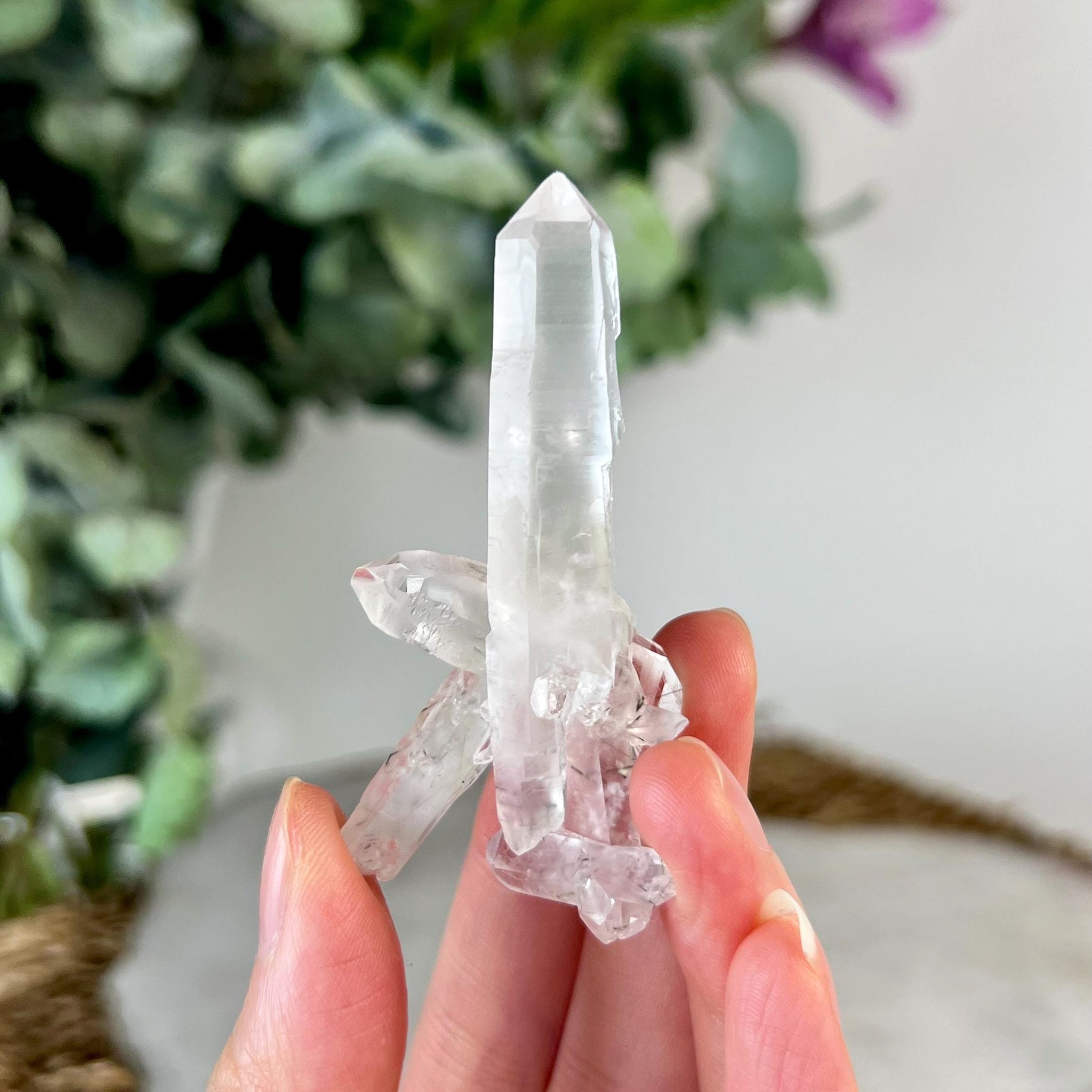 Grade AA Natural Multi-Terminated Clear Quartz Cluster with fine Black Rutile from Diamantina, 19g, CC19