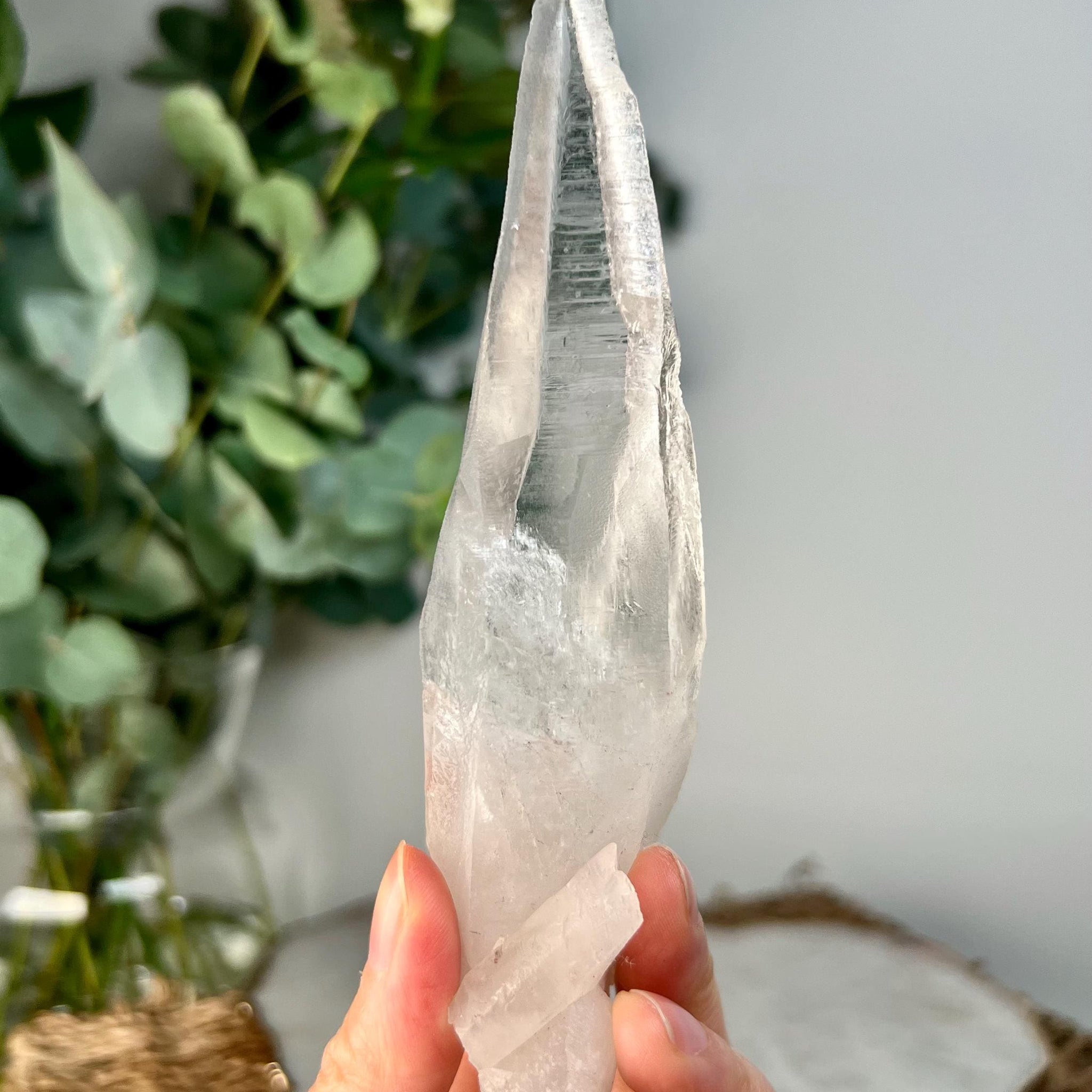 Grade AA Blue Needle Lemurian Quartz Point | Diamantina, Brazil | Intuition • Alignment • Activation BLH02, 150g