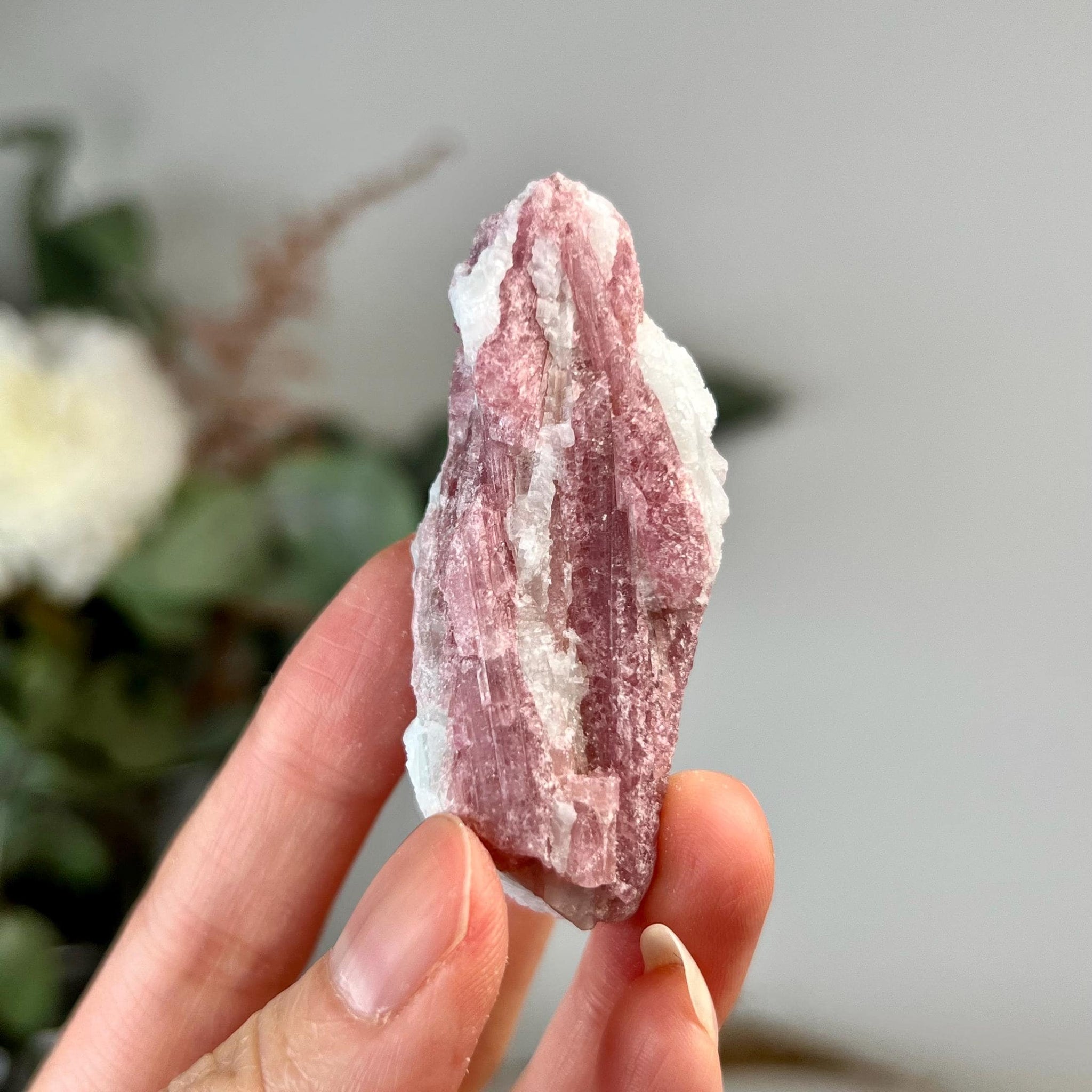 Grade A+ Natural Pink Tourmaline on Aquamarine,A Harmonious Blend of Love and Serenity PTC56, 36g