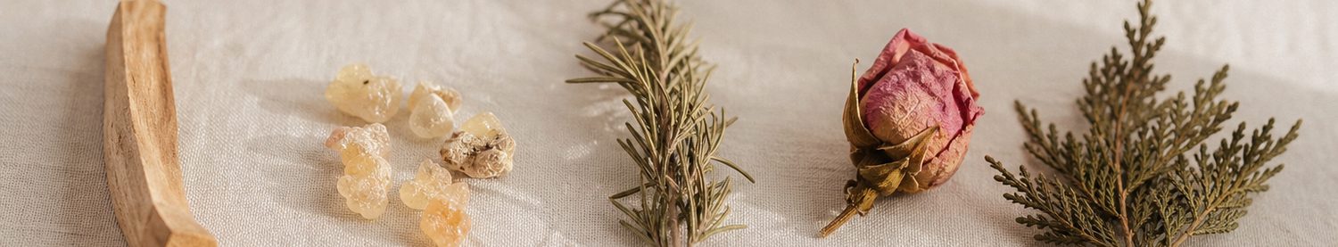 Palo santo, frankincense resin, rosemary, a dried rose and cedar laid in a row on pale linen